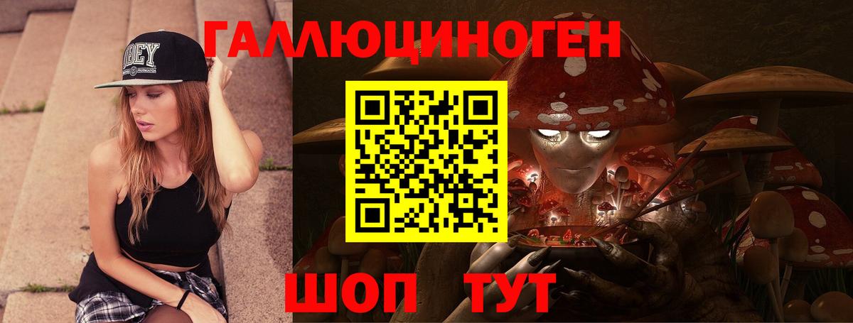 Галлюциногенные грибы Psilocybine cubensis  Вход с VPN  цены   Выкса 