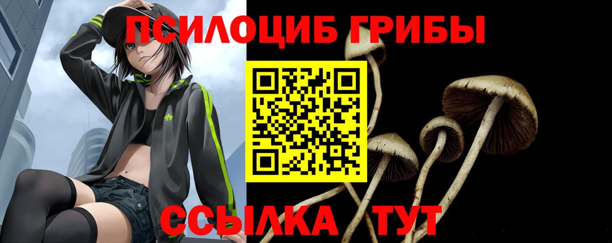 Псилоцибиновые грибы Psilocybine cubensis Выкса